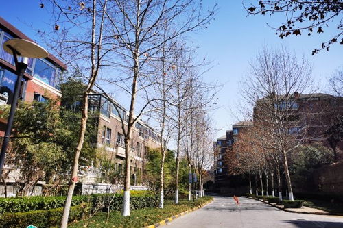 金地芙蓉世家 公寓住宅 優點 不足,金地芙蓉世家 公寓住宅 怎么樣,金地芙蓉世家 公寓住宅 周邊房產中介經紀人評價 西安安居客