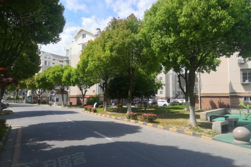 新盛花園東區優點 不足,新盛花園東區怎么樣,新盛花園東區周邊房產中介經紀人評價